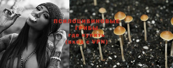 амфетамин Алексеевка